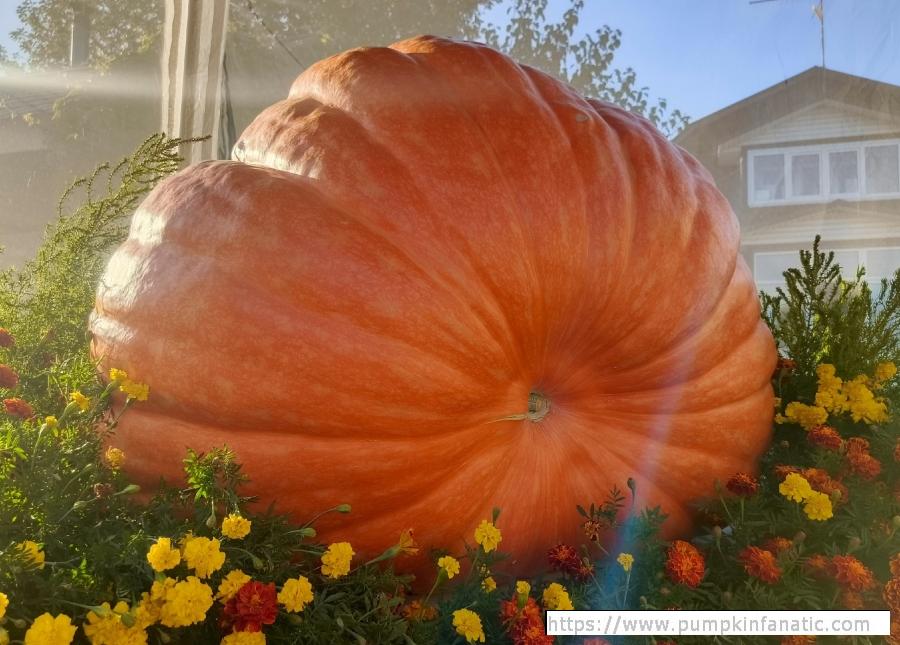 fruitImages/722.2 Soluianova 2025B.jpg